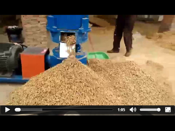 ����w���Cҕ�l